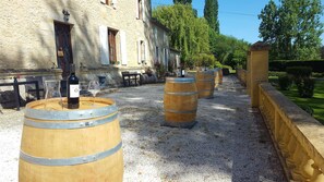 Experience wine tastings in a serene countryside setting, surrounded by rows of aging wine barrels.