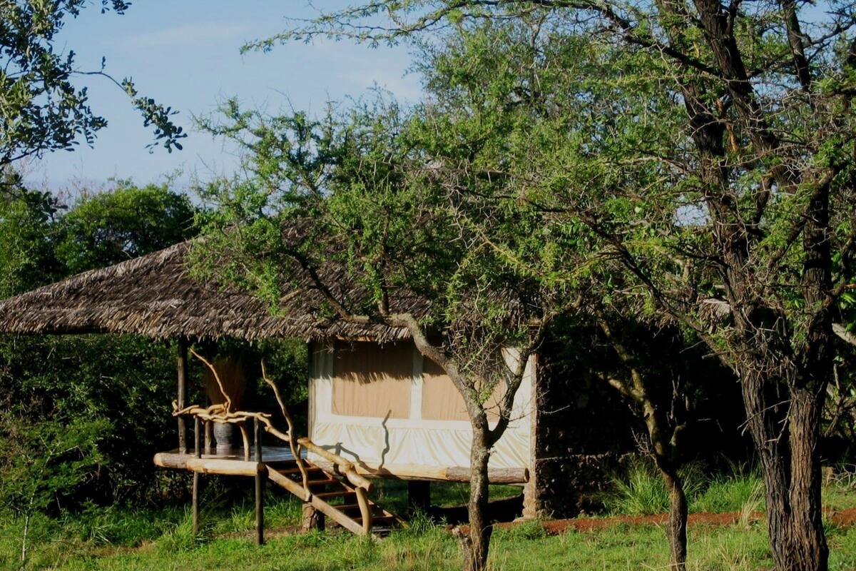 Tent, Garden View (Tented Chalet) | Peti besi dalam bilik, katil lipat simpan/tambahan, cadar katil 