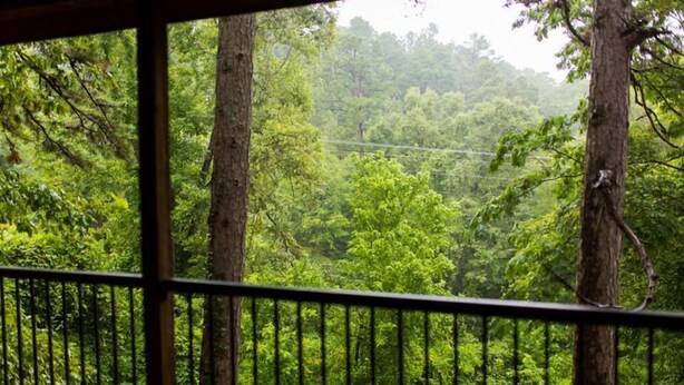 Vista desde un balcón con barandilla, que da a un bosque denso de árboles altos.