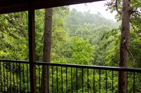 Vista desde la habitación