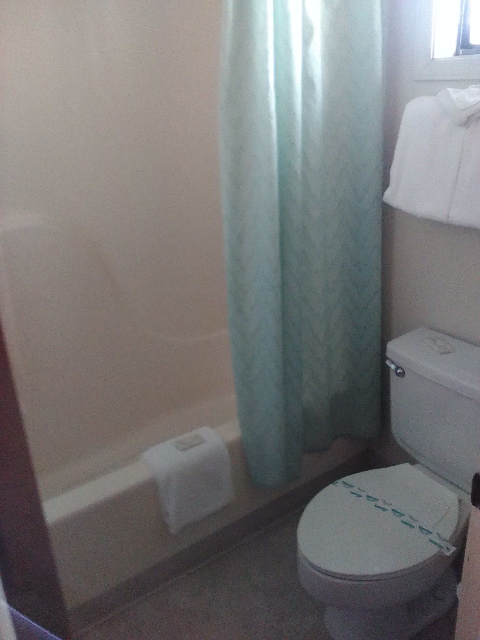 A bathroom with a bathtub, toilet, and a shower curtain.
