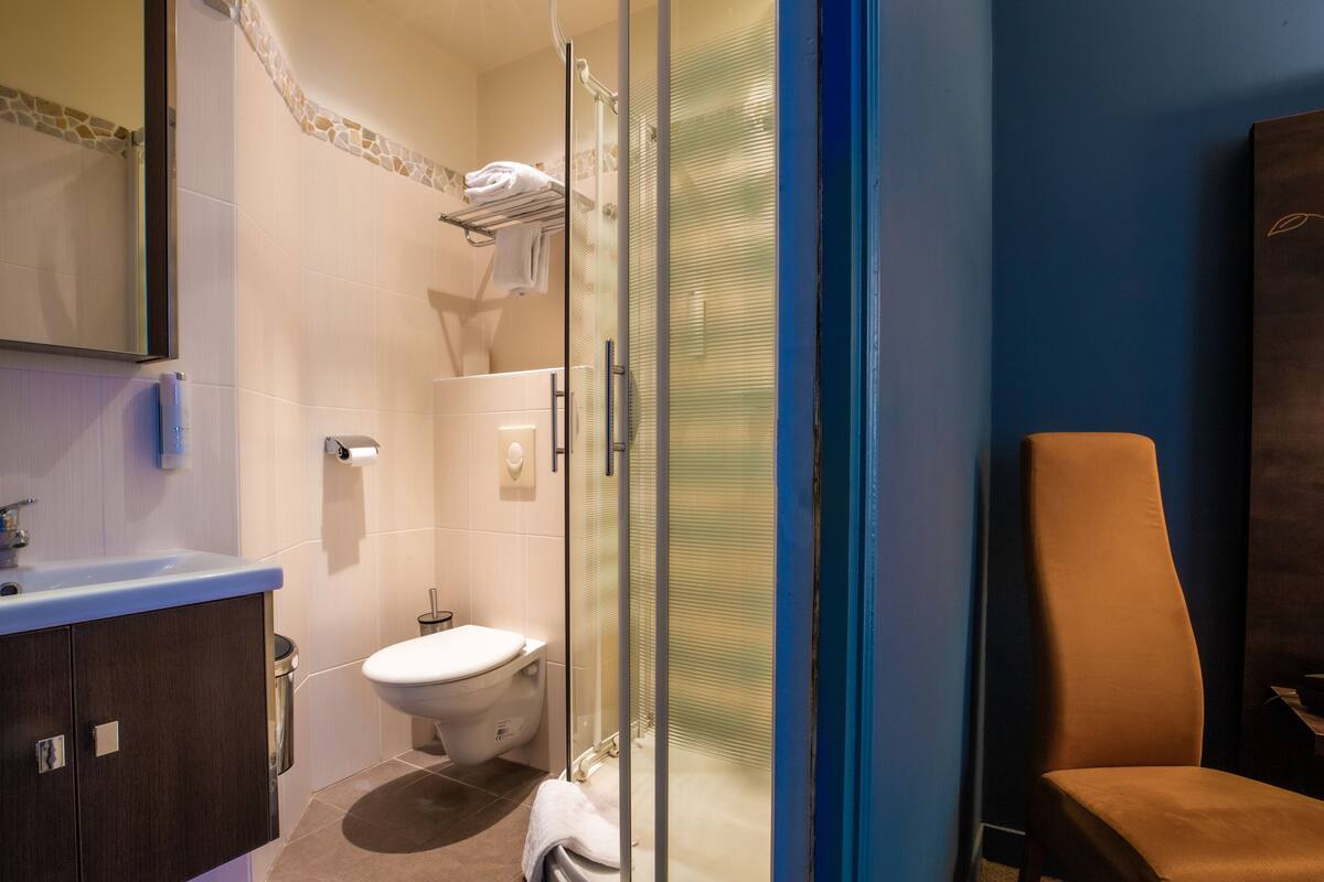 deluxe double room | bathroom | shower, free toiletries, hair dryer, towels