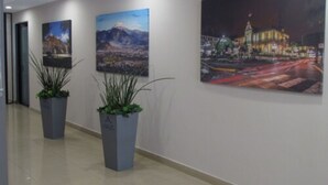 Un pasillo con tres cuadros grandes en la pared, dos plantas en macetas y un proyector instalado en el techo.