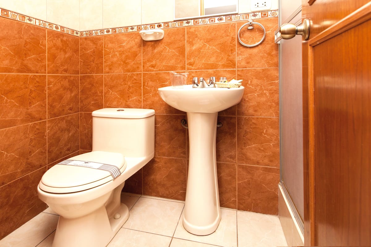 Duş, ücretsiz banyo/kozmetik ürünleri, saç kurutma makinesi, havlu