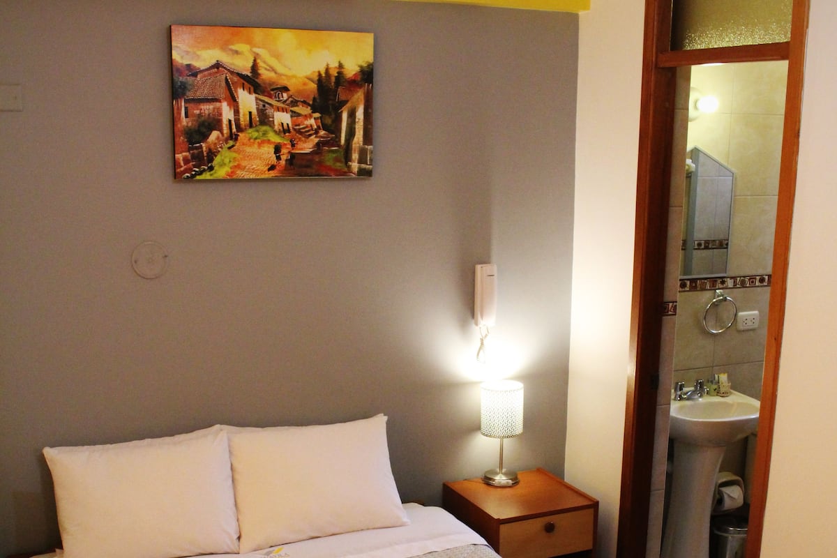 Tek Büyük Yataklı Oda | Odada kasa, masa, ütü/ütü masası, ücretsiz kablosuz İnternet