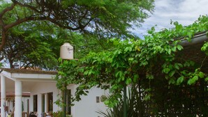 Aerial view - Punta Sal Bungalows (Canoas de Punta Sal)