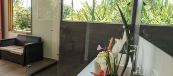 Finca Cafetera El Balso