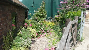 Tuin