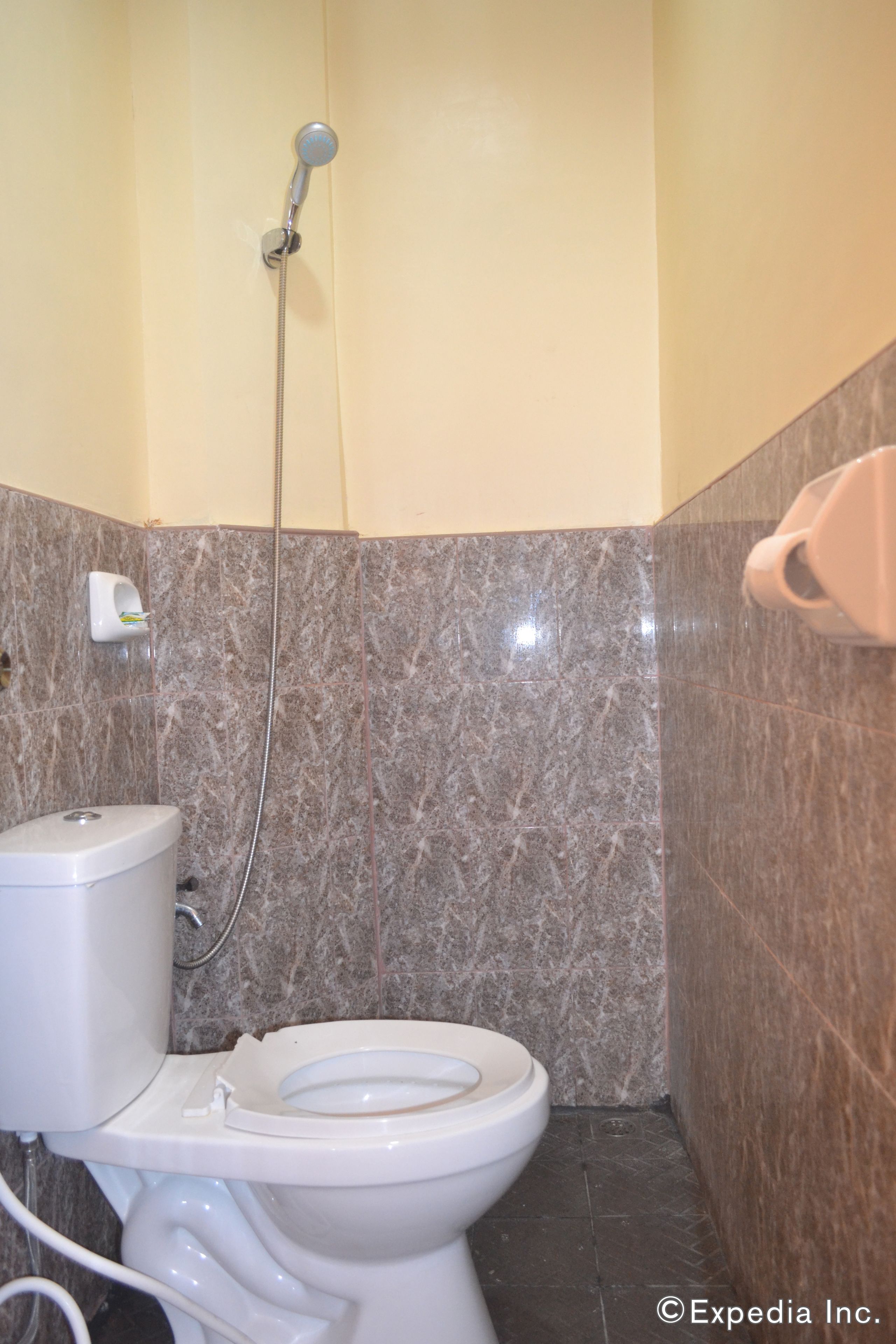 A bathroom with a toilet, a shower, and a marble wall.