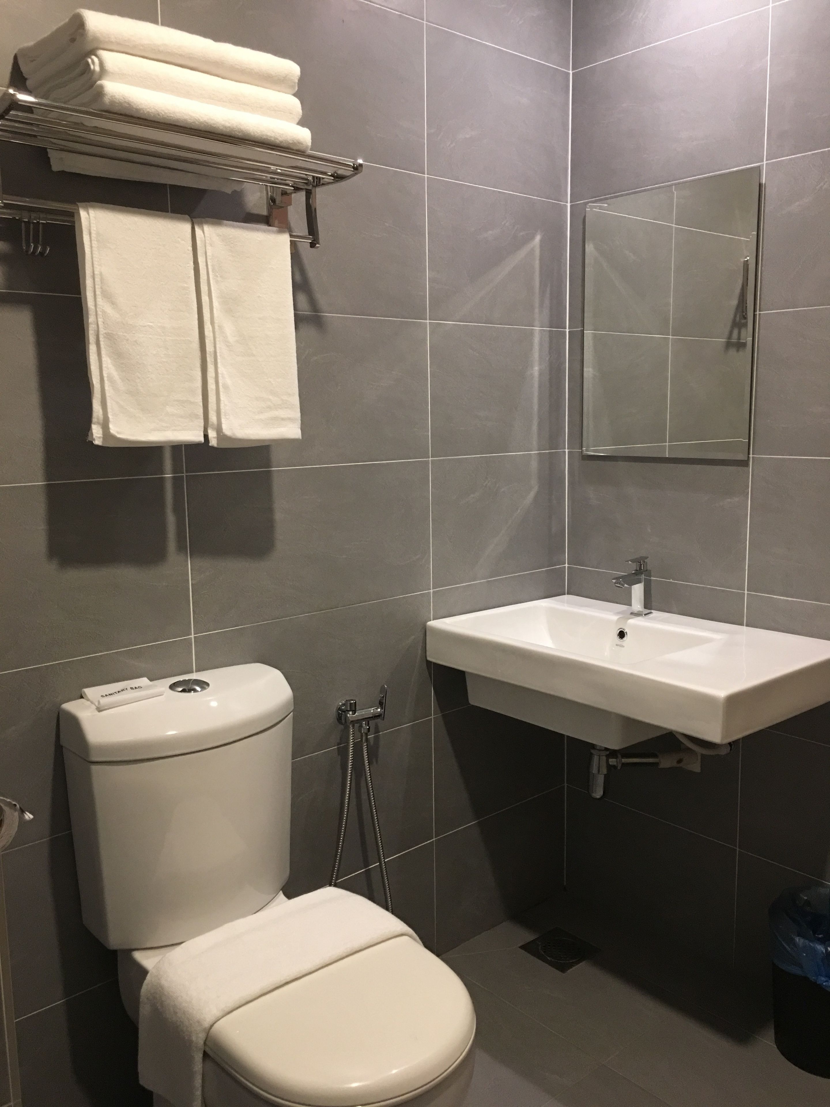 Un baño con inodoro, lavabo y espejo.