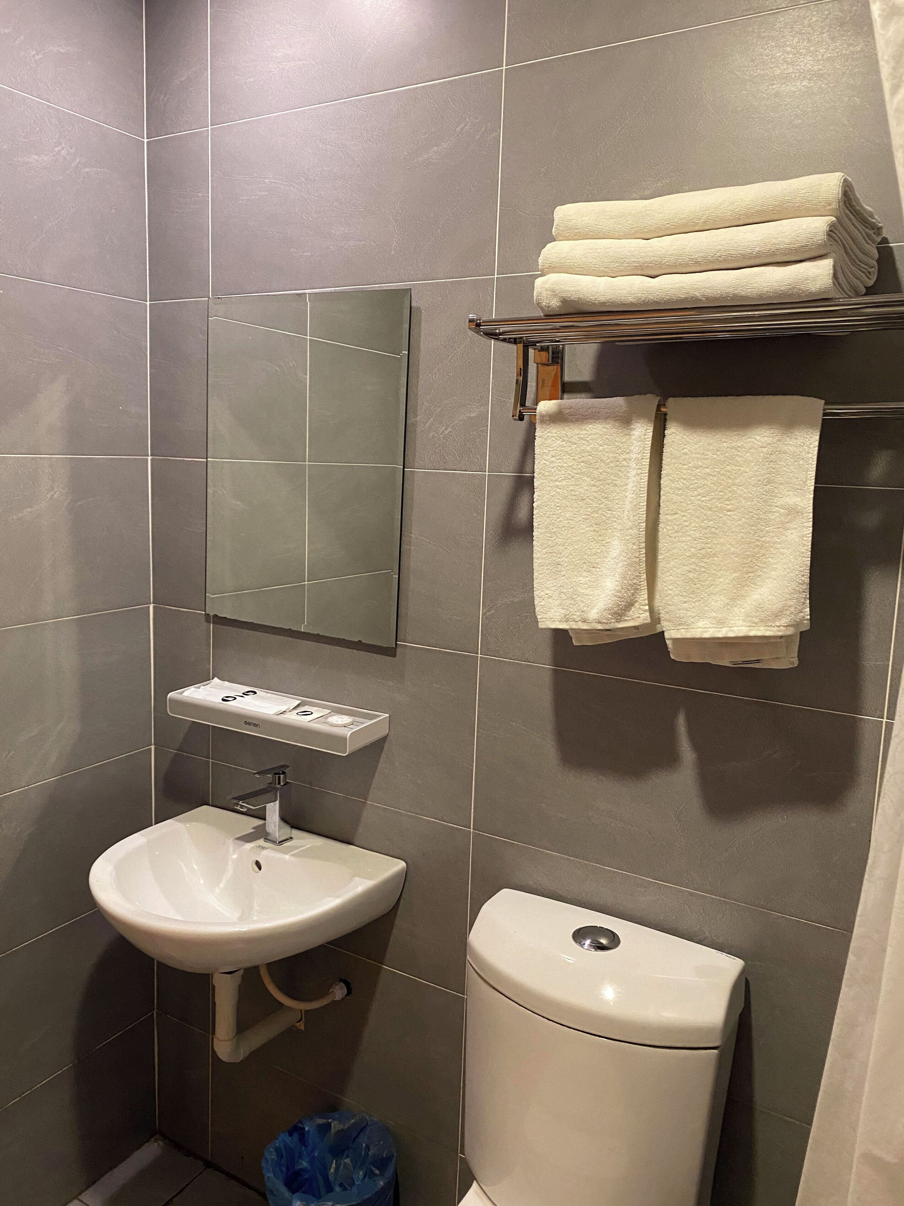 A bathroom with a sink, mirror, and toilet. There are towels on a rack and a trash bin.