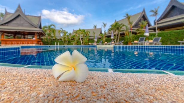 A pool with a white flower on the edge, surrounded by palm trees and traditional-style buildings.