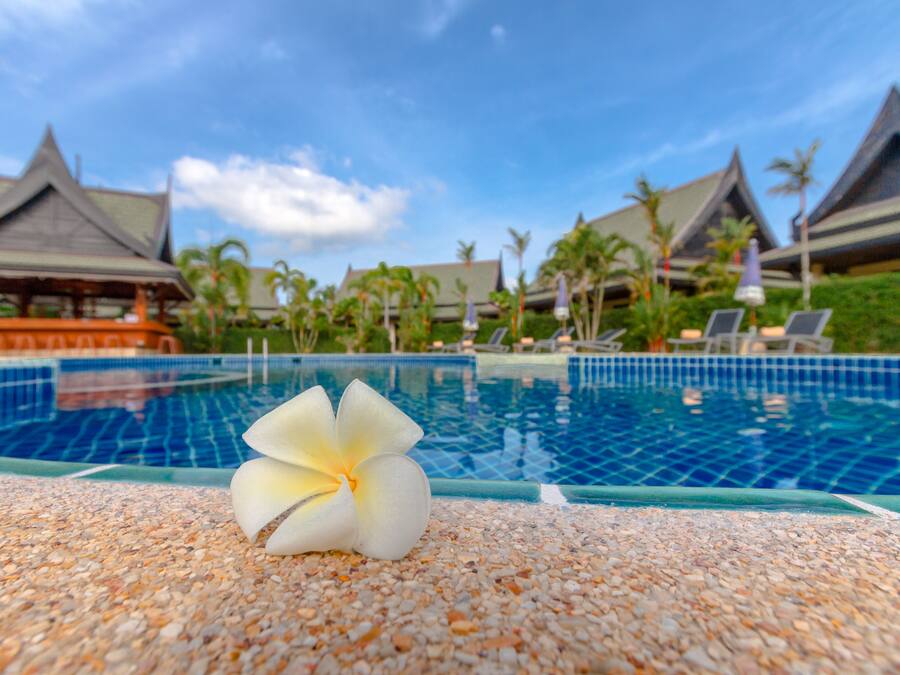 Outdoor pool, pool umbrellas, sun loungers