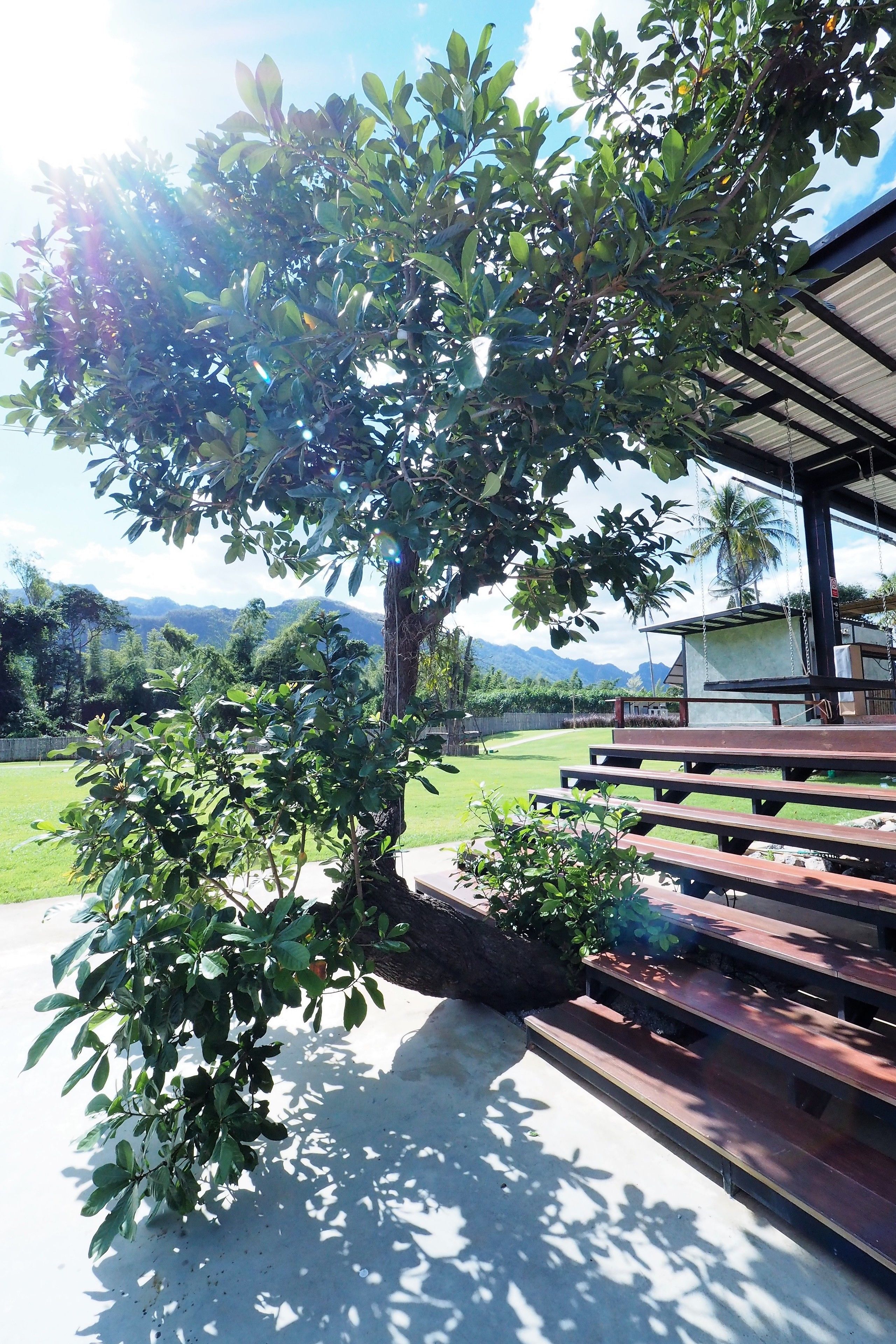 A covered outdoor seating area with benches, a tree, and a view of mountains in the background.