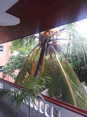 Chambre Triple Deluxe