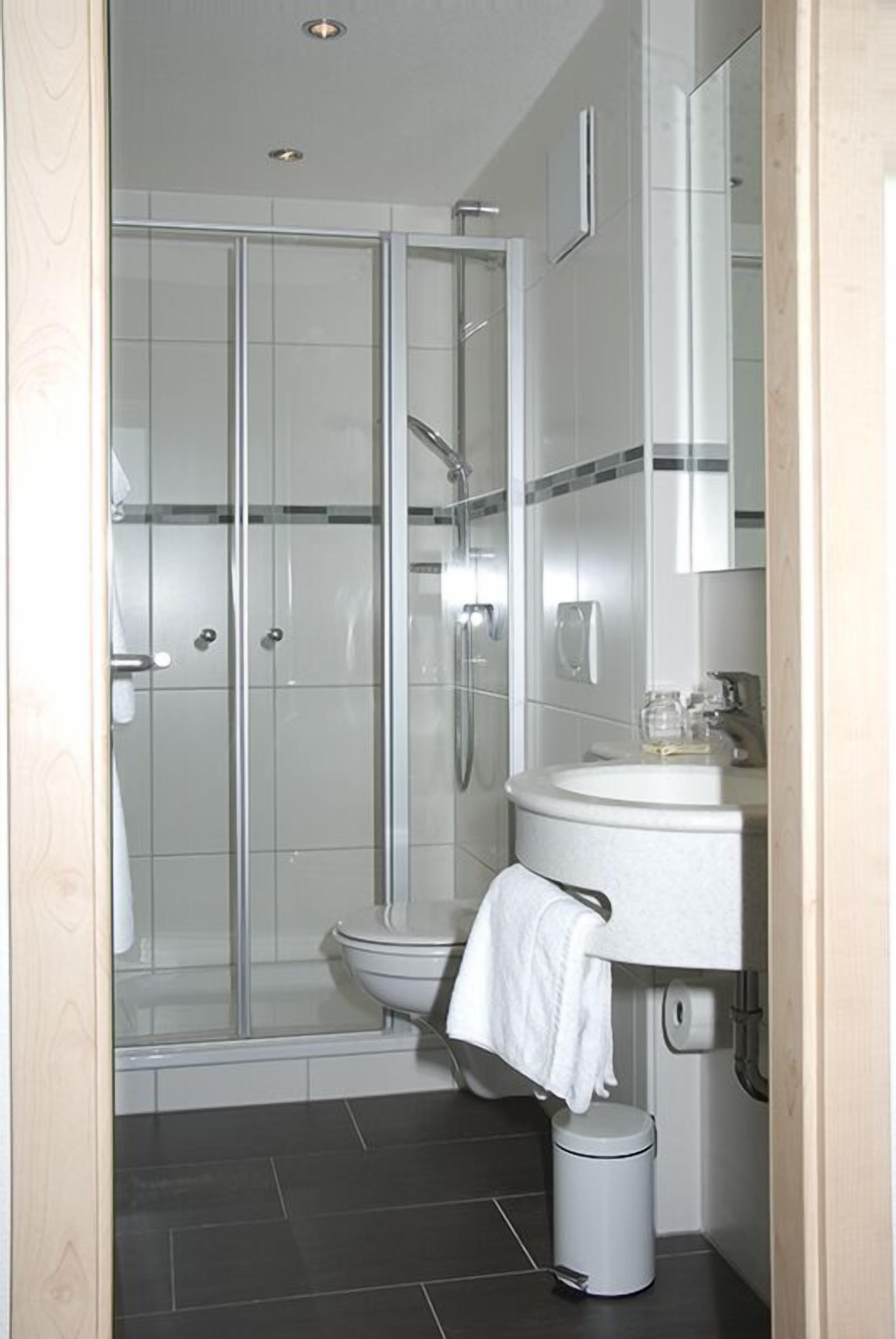 double or twin room | bathroom | shower, free toiletries, hair dryer, towels