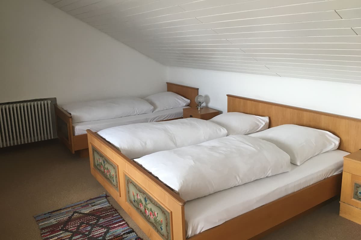 A bedroom with two single beds, a wooden headboard, a nightstand, a radiator, and a patterned rug.
