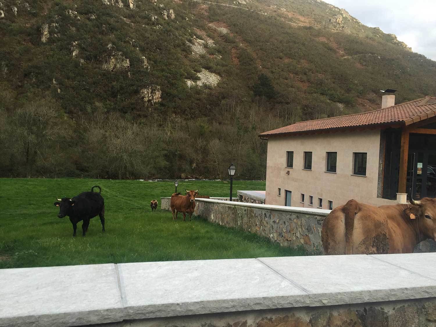 Photo - La Casona de Rey