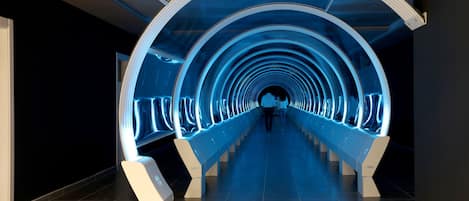 Un couloir moderne, éclairé et en forme de tunnel, dans lequel une personne se promène.