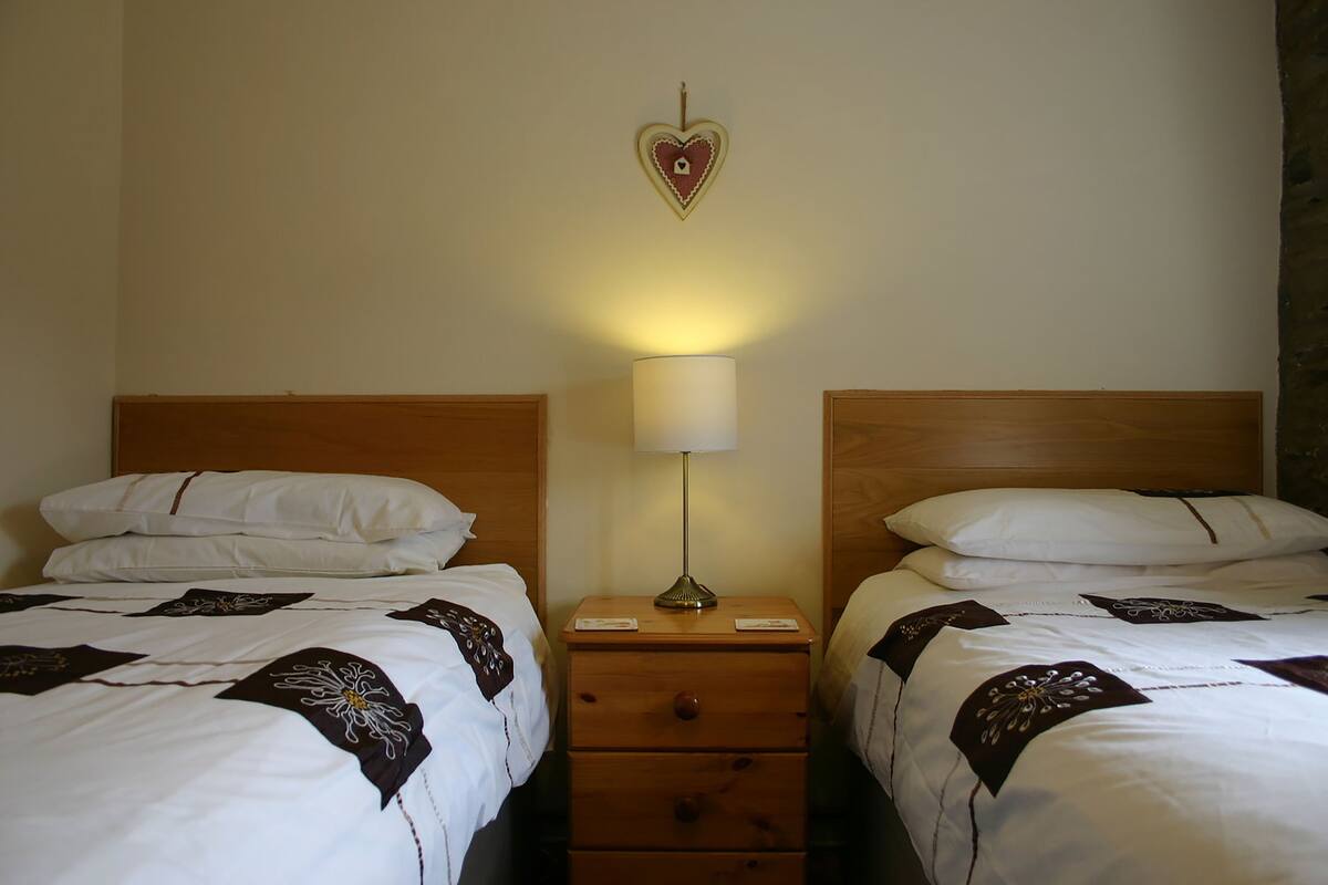 A hotel room with two beds, each with white bedding and decorative pillows. There is a wooden nightstand with a lamp between the beds.