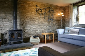 Flat-screen TV, fireplace, DVD player