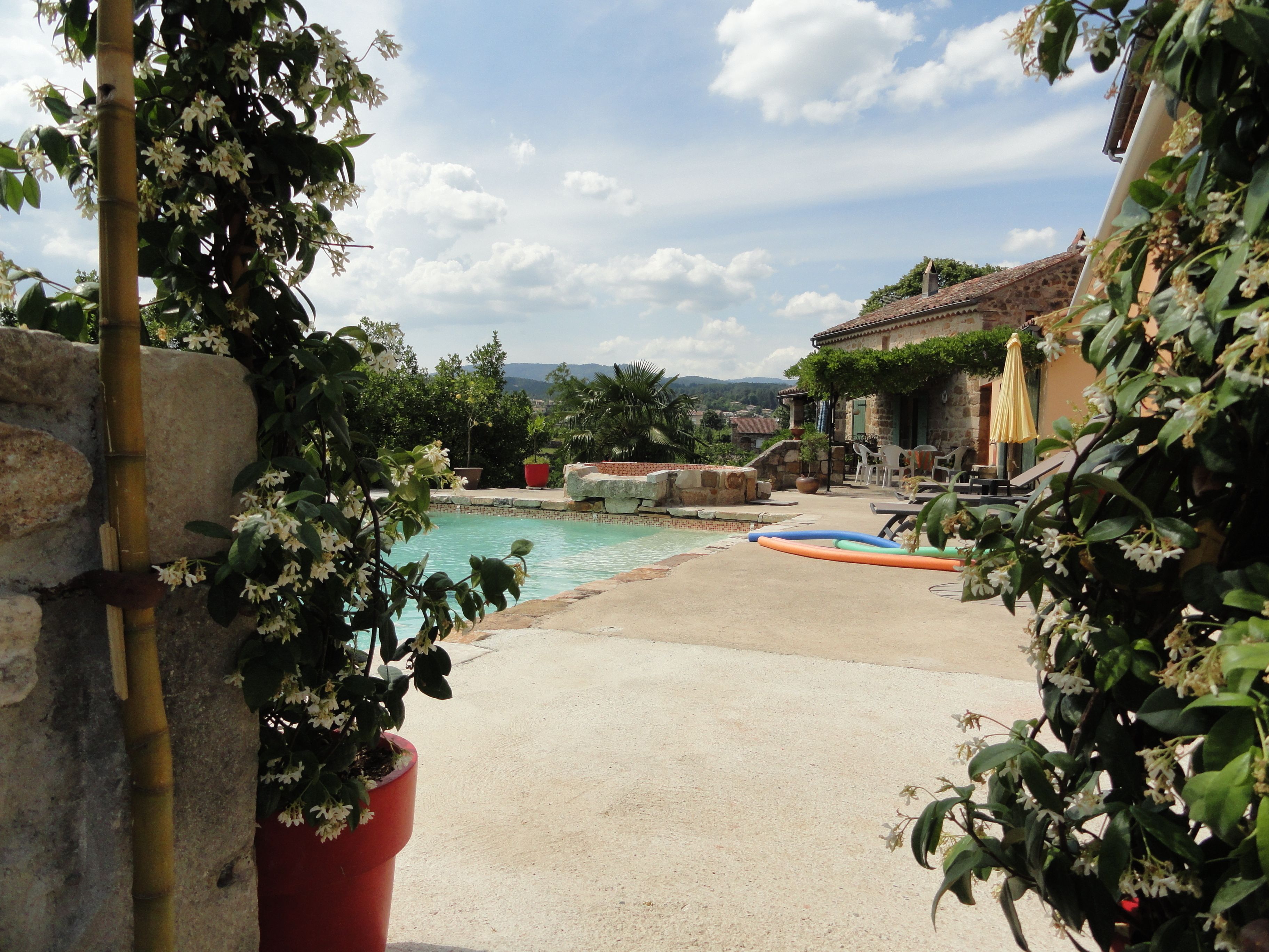 Zona de piscina con muro de piedra, plantas en macetas y mobiliario exterior.
