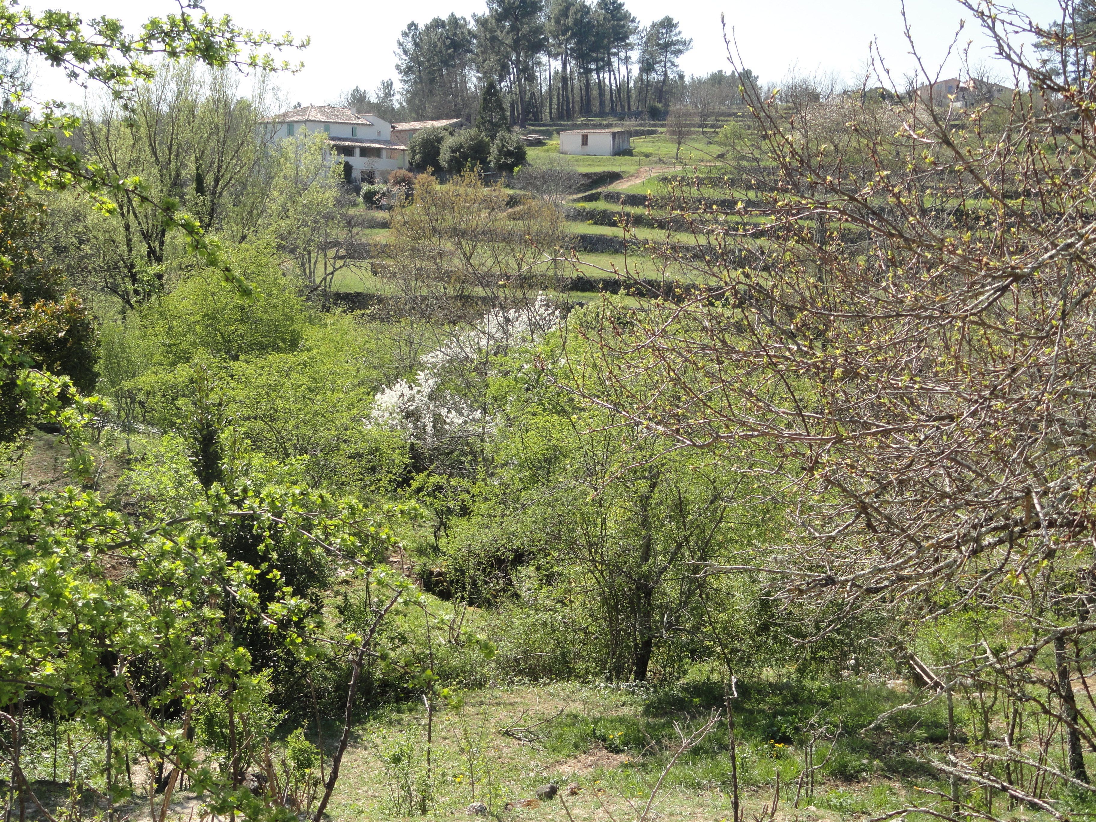 A rural landscape with a small white house surrounded by lush greenery and trees.