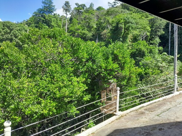 A view of a lush green forest with a metal railing and a concrete pathway. - Las Cuevas Beach Lodge (Las Cuevas)