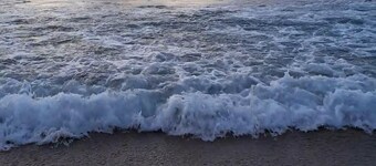 Las Cuevas Beach Lodge