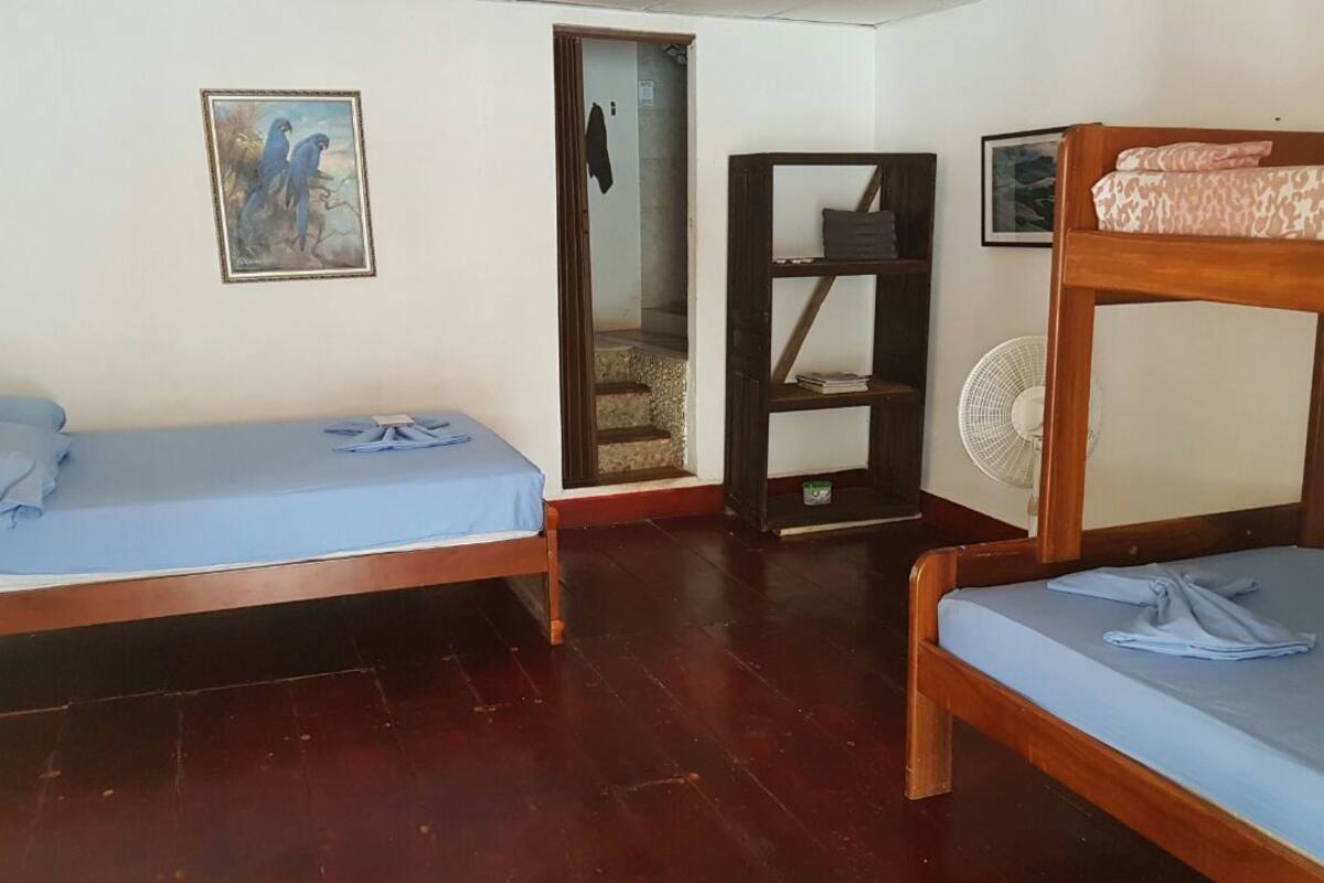 Standard Quadruple Room