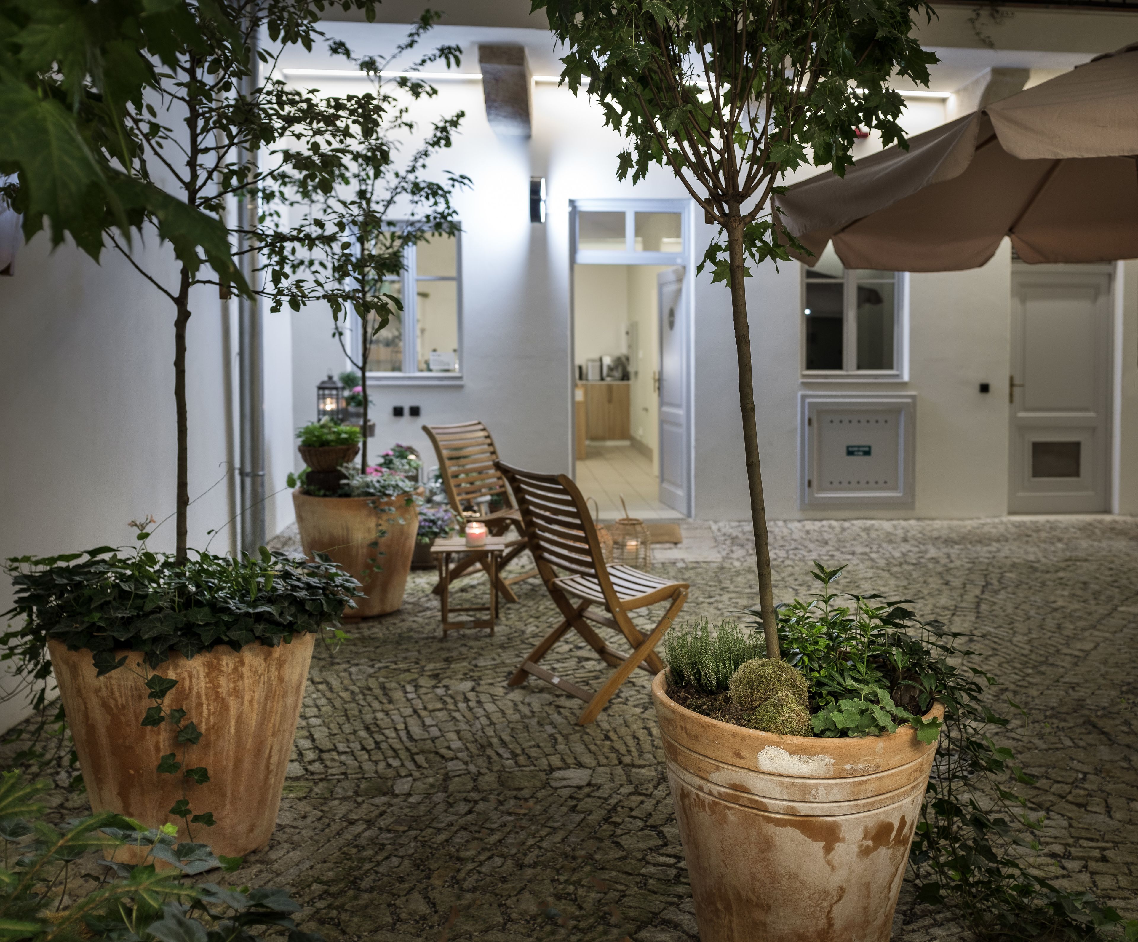 Un cortile con un tavolo e sedie in legno, circondato da grandi piante in vaso e un albero.