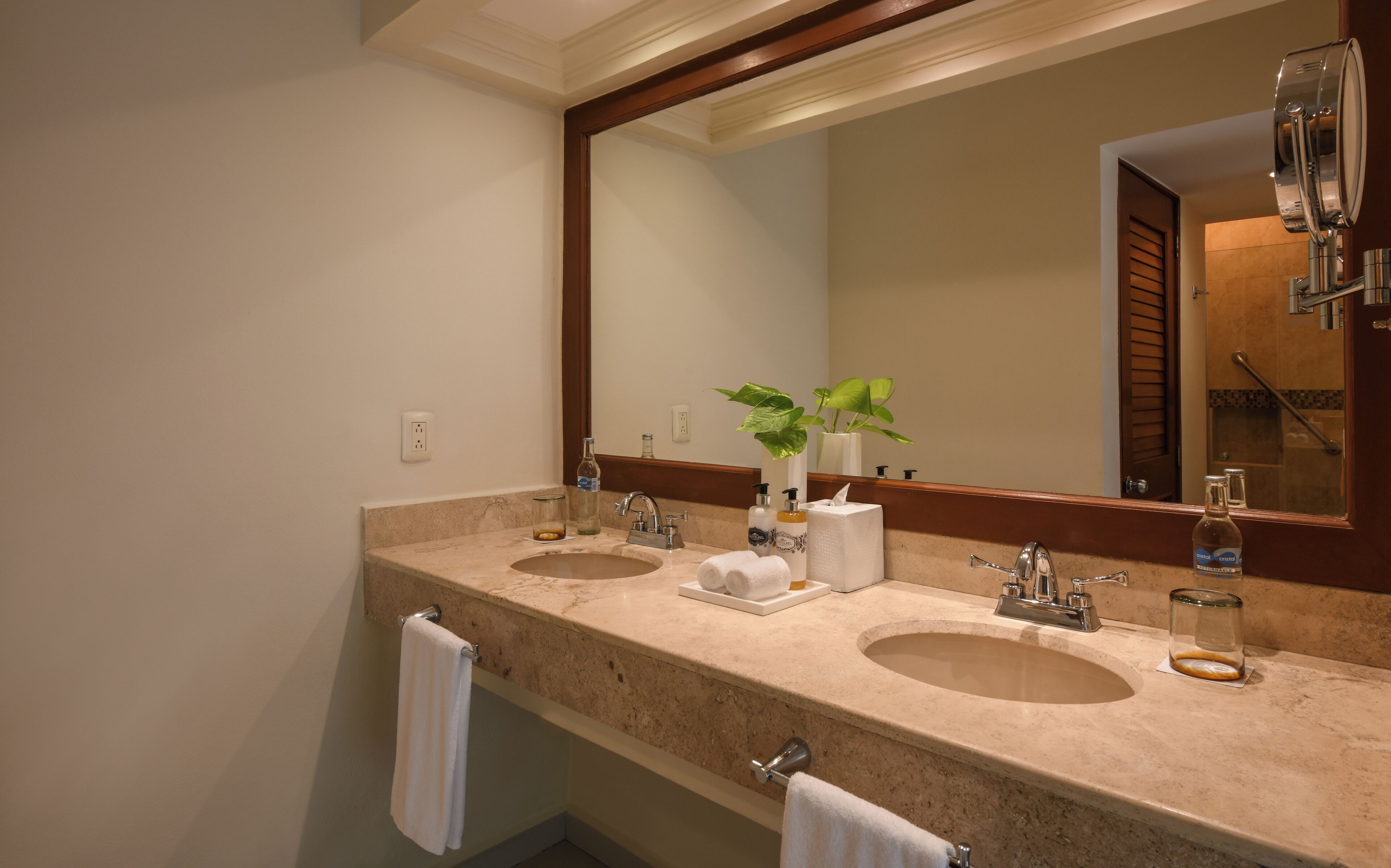 Un baño con dos lavamanos, un espejo grande, un perchero para toallas y una planta.