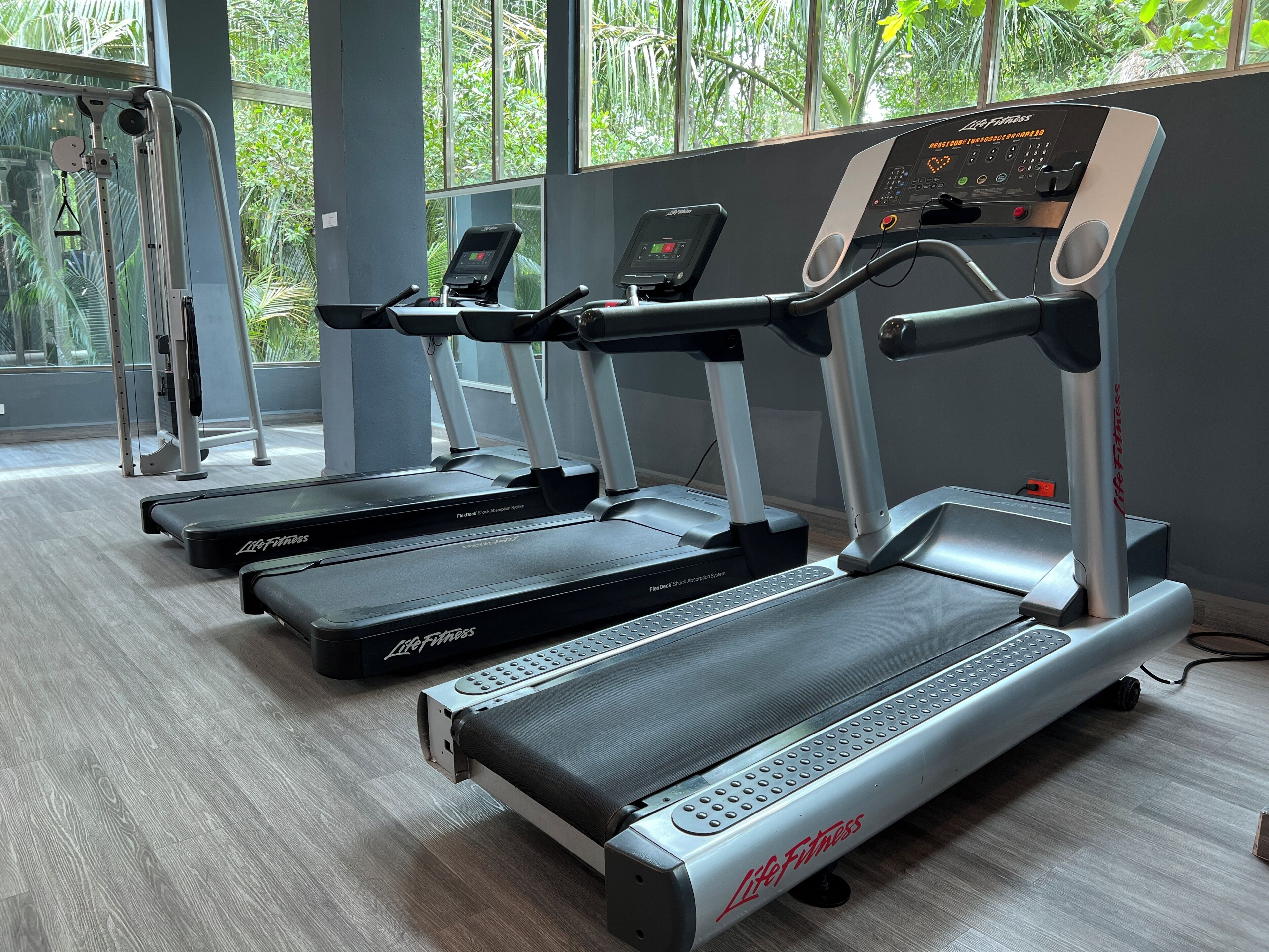 A row of treadmills with digital displays, a weight bench, and a window with a view of greenery.