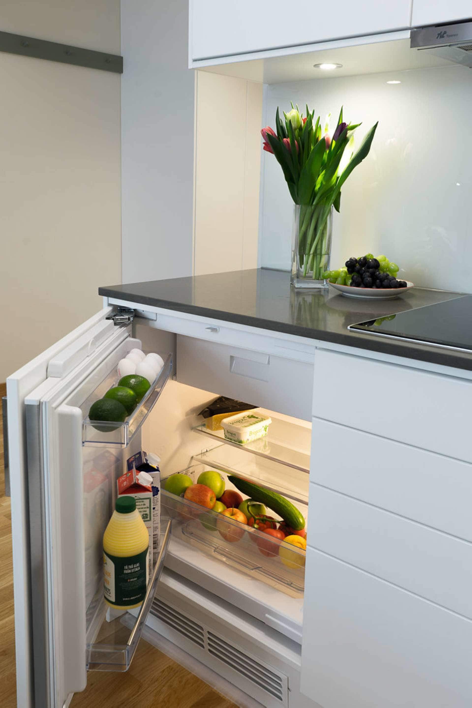 Kühlschrank, Mikrowelle, Herdplatte, Geschirrspüler