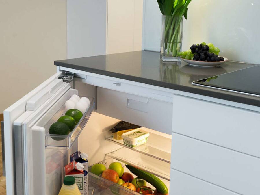 An open refrigerator with various food items and a vase with flowers on the countertop.