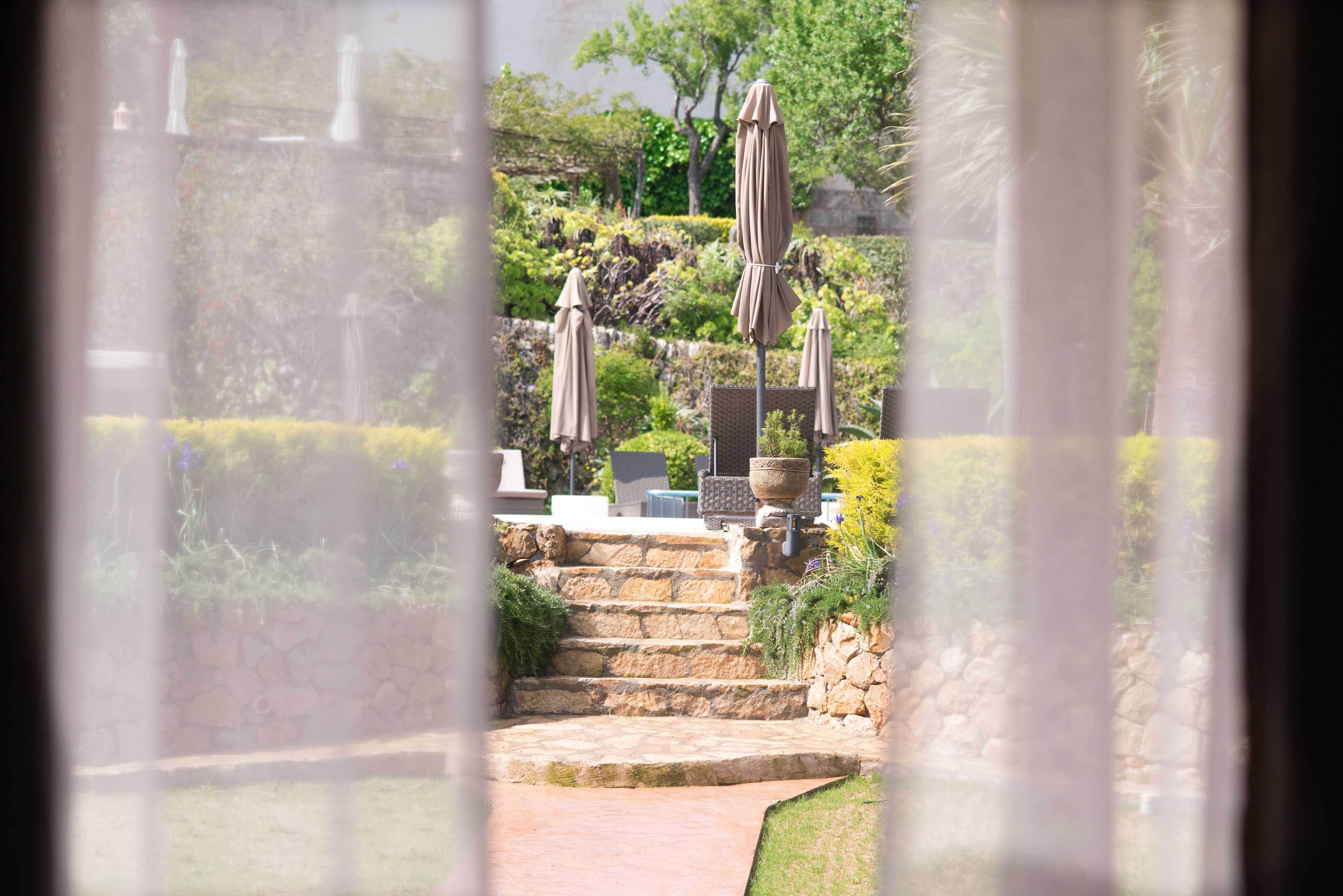 Deluxe Suite, Terrace, Pool View (Campanet) | Terrace/patio