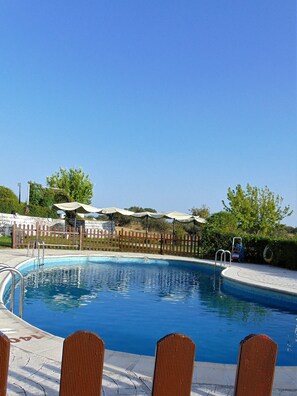 Seasonal outdoor pool, pool loungers