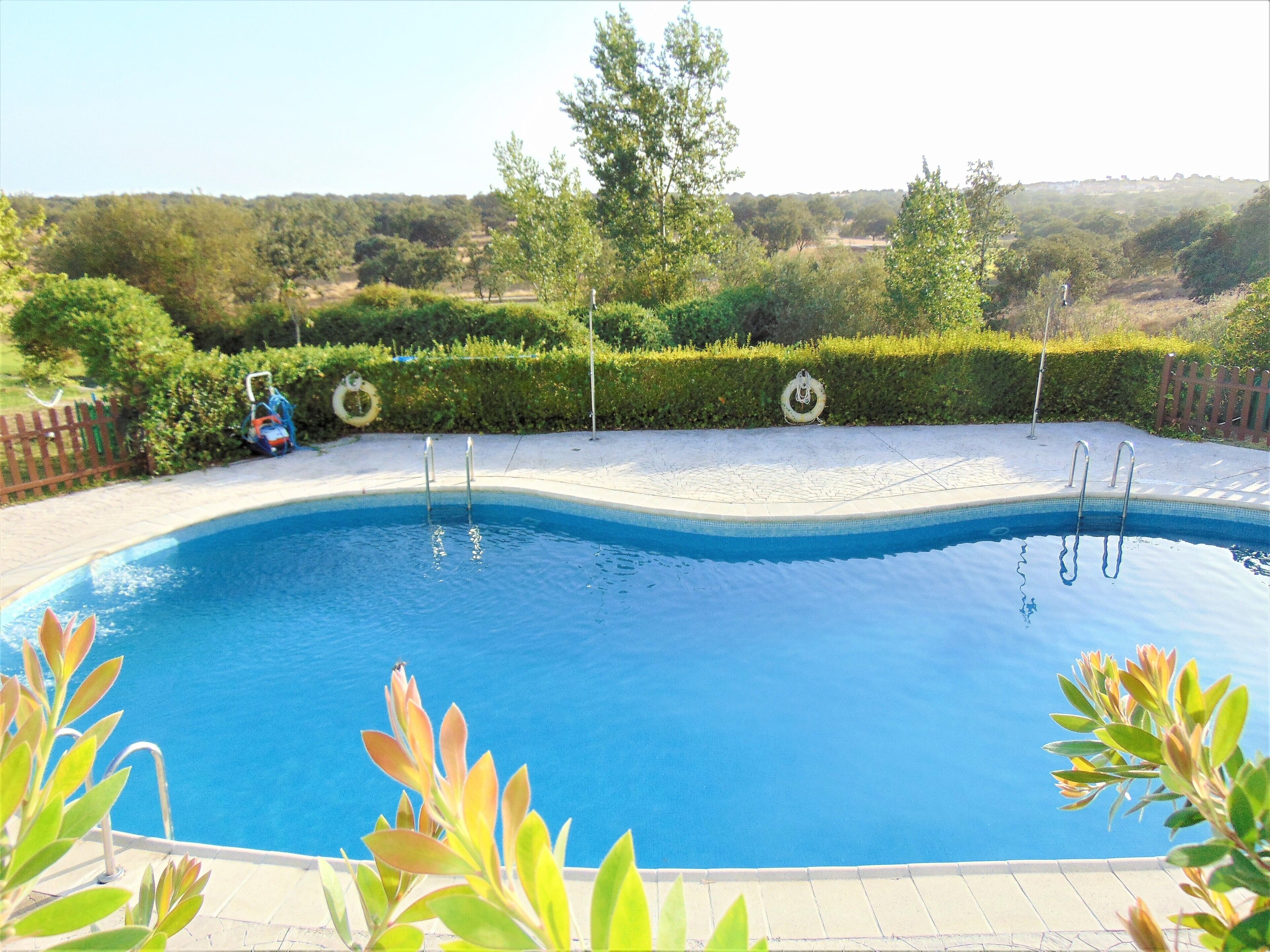 A swimming pool with a curved edge, surrounded by a paved deck and a hedge.