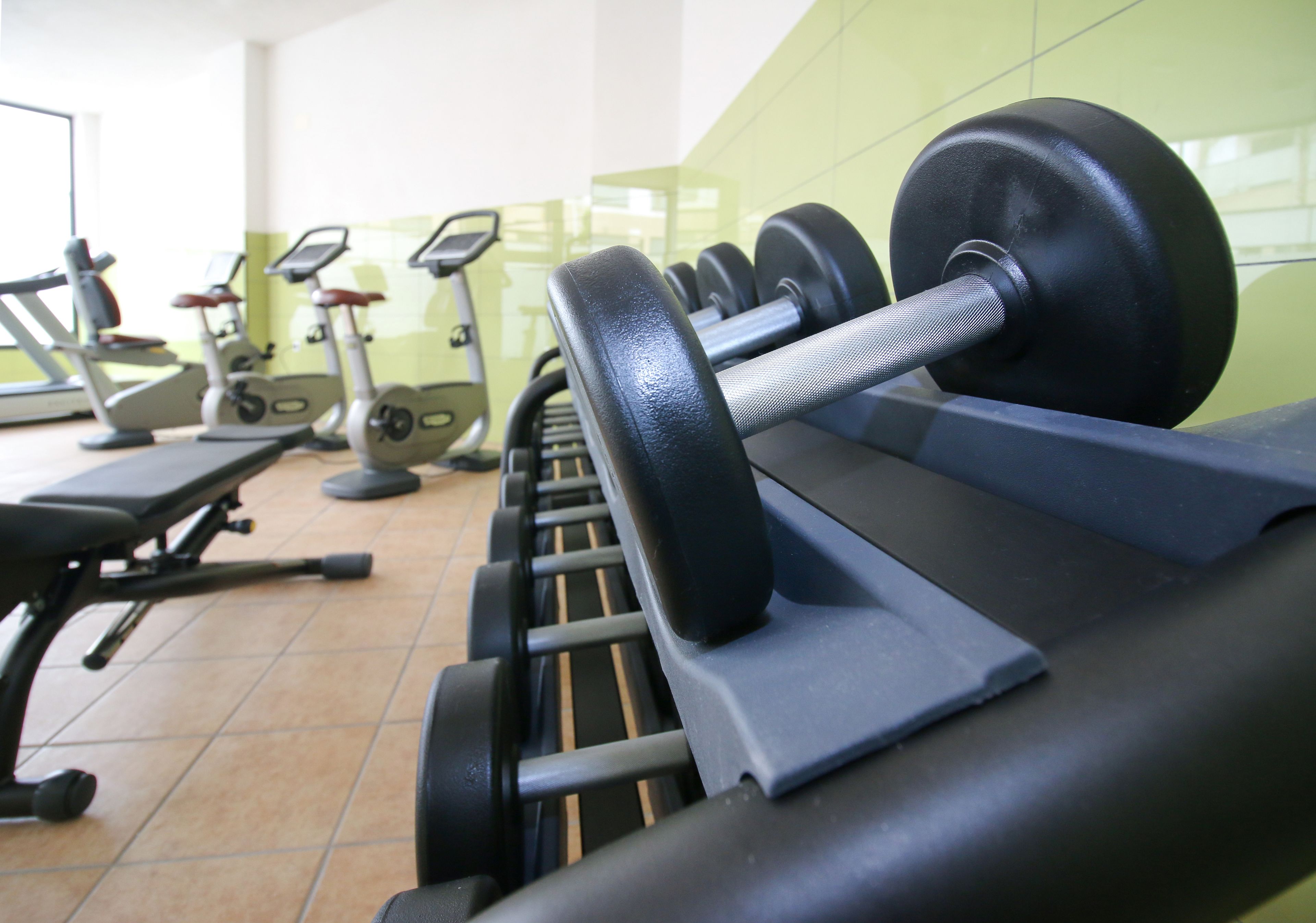 Una hilera de equipo de ejercicio, incluyendo cintas de correr y mancuernas, en un gimnasio.