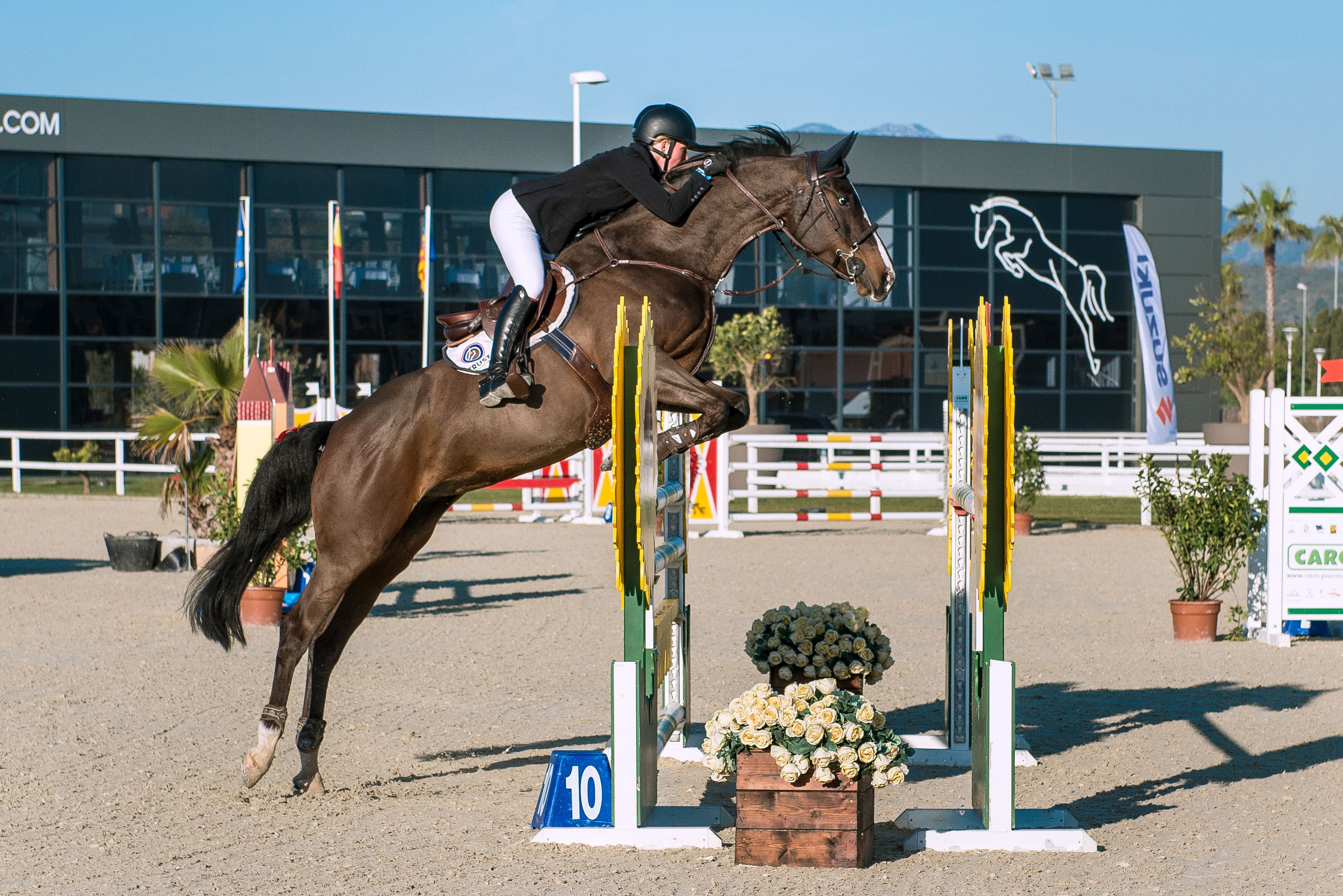 Een paard springt over een hindernis tijdens een paardensportevenement.