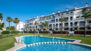 Ein Swimmingpool mit klarem, blauem Wasser, umgeben von einer gepflegten Rasenfläche und Palmen.