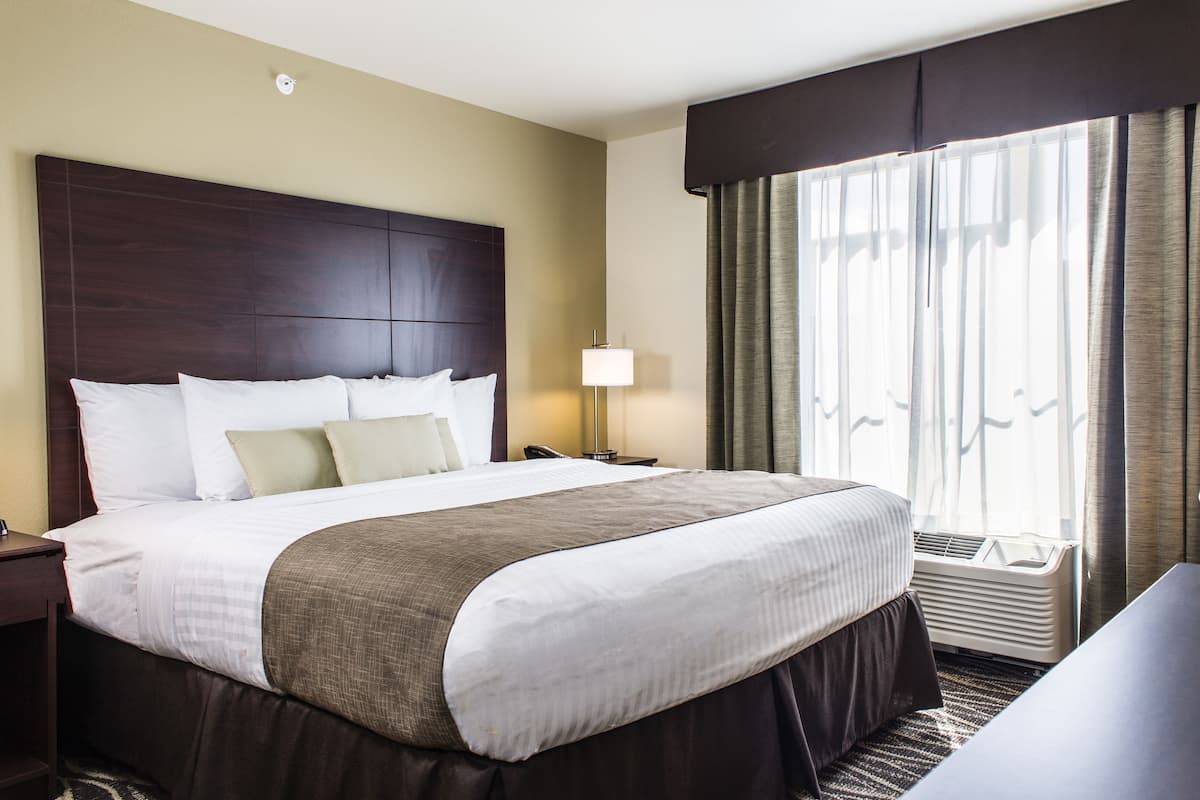 A hotel room with a large bed, a bedside table, a lamp, and a window with curtains.