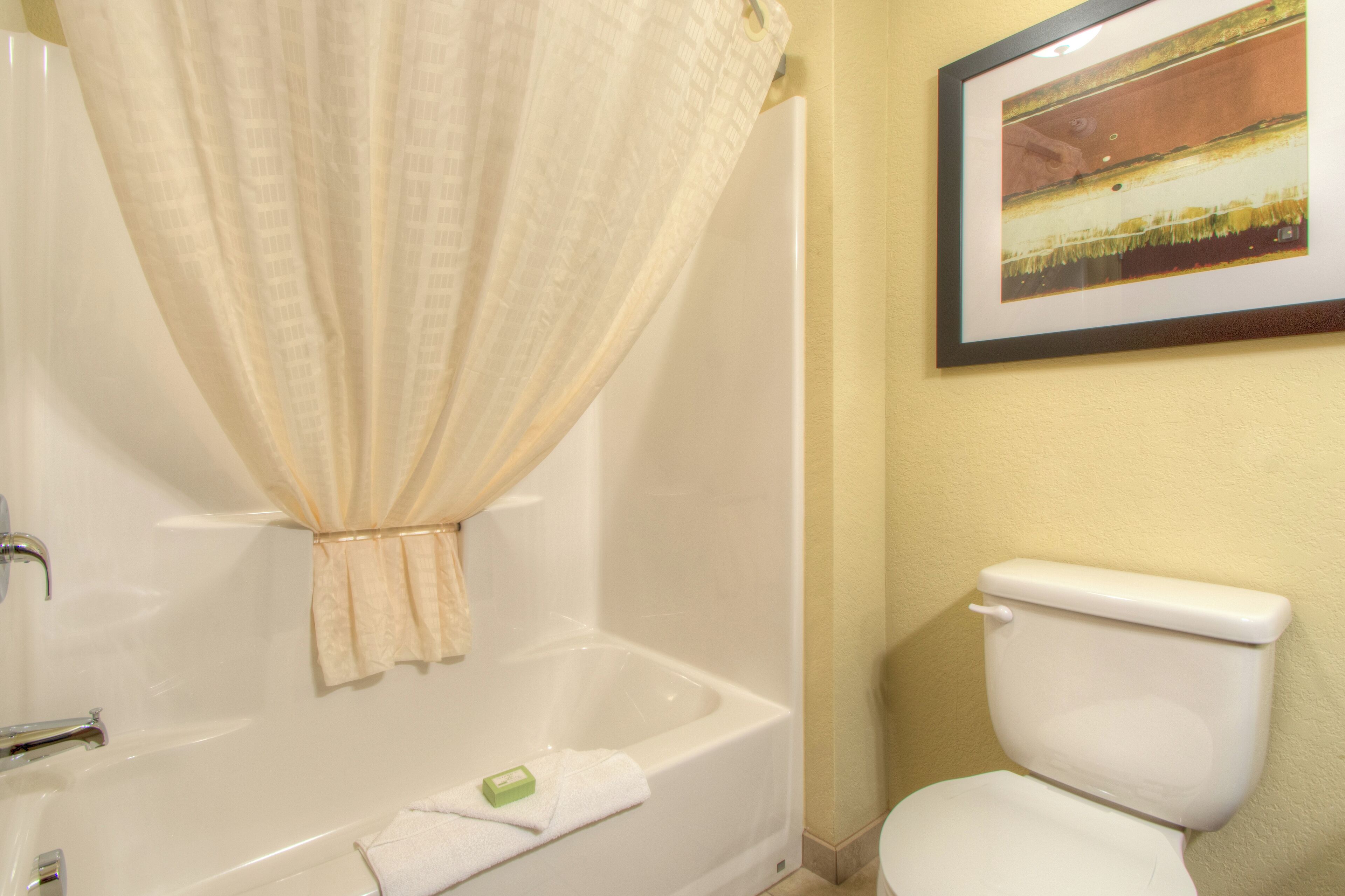 A bathroom with a bathtub, toilet, and a framed picture on the wall.