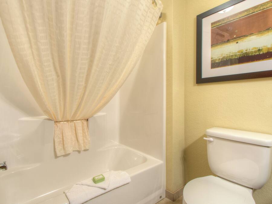 A bathroom with a bathtub, toilet, and a framed picture on the wall.