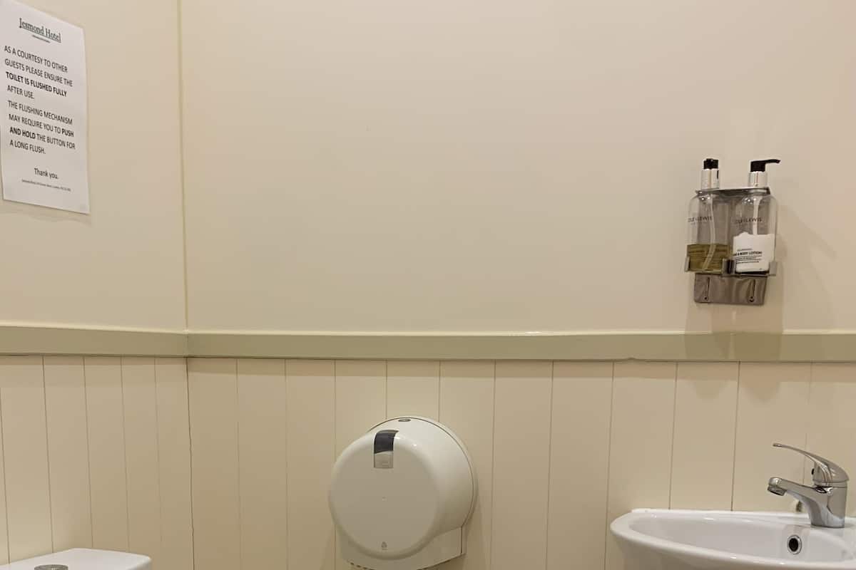 Saç kurutma makinesi, havlu, tuvalet kâğıdı