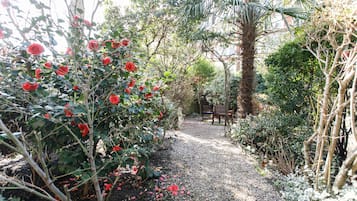 花園