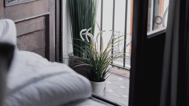 A balcony with a potted plant, a view of buildings, and a door with a window. - Select Sol (Madrid)