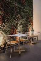 A dining area with a table and chairs, a potted plant, and a wall covered in foliage.