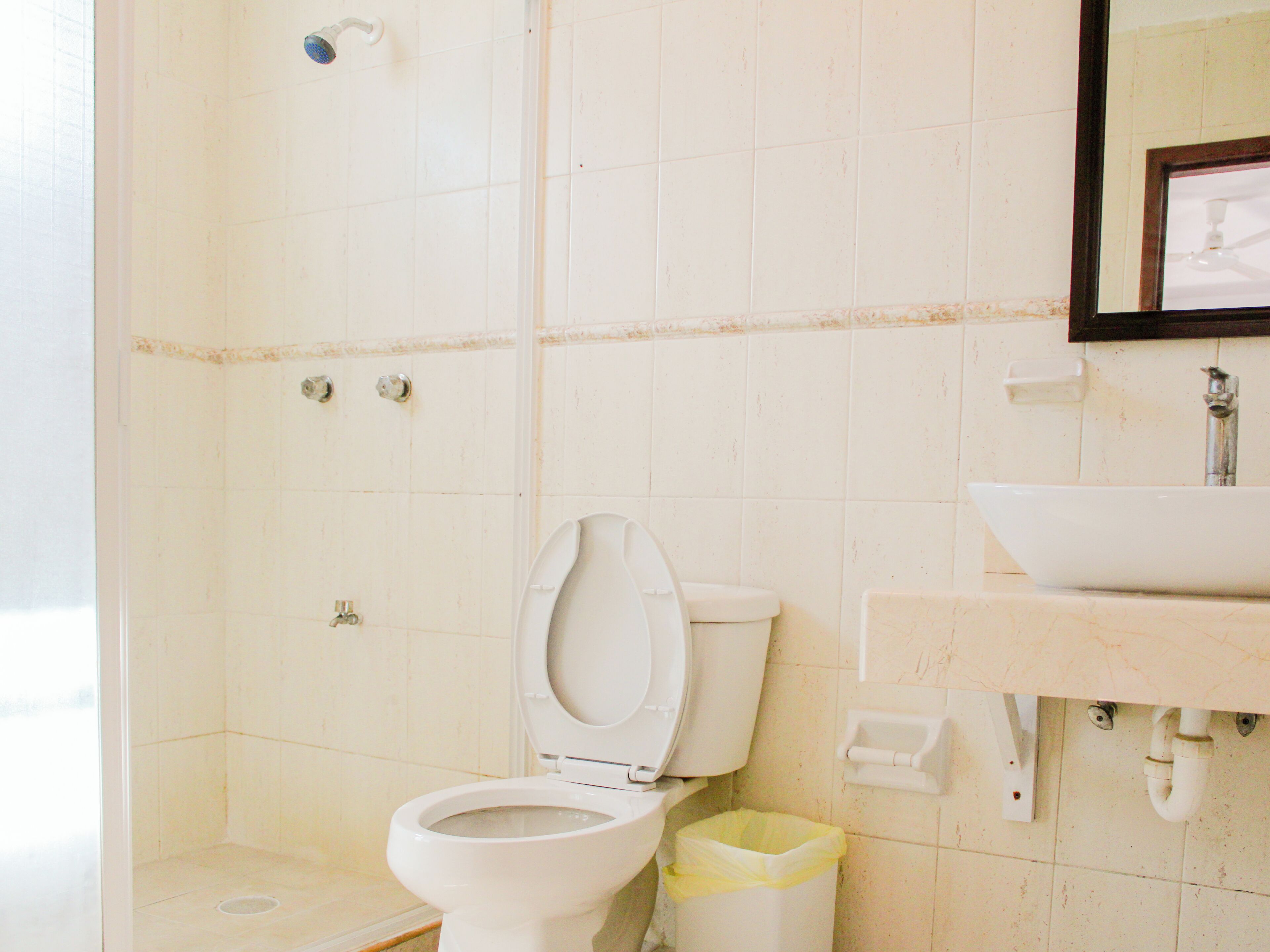 A bathroom with a toilet, a sink, a mirror, and a shower.