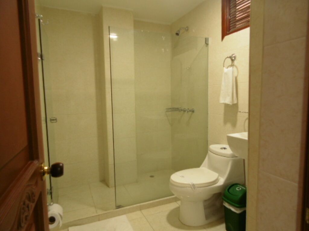 standard double room | bathroom | shower, free toiletries, towels